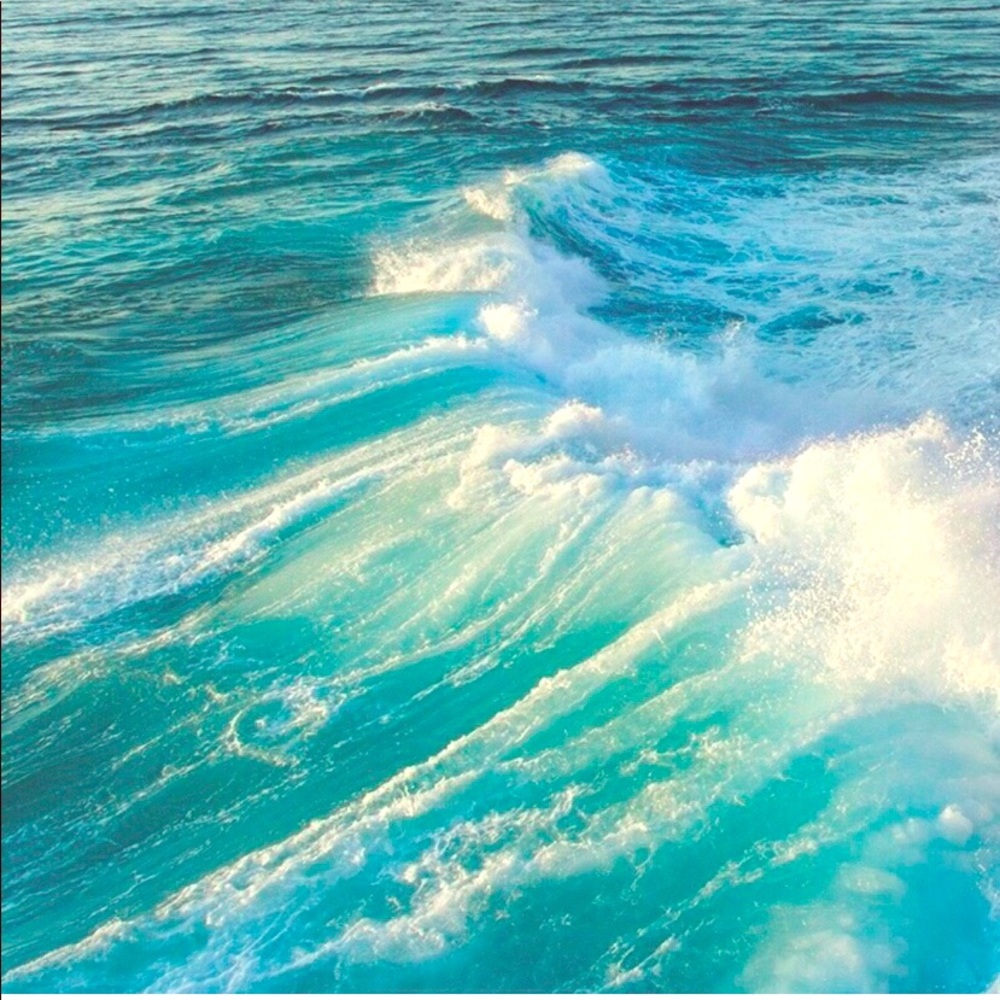 Meet your Posher, Suzanne